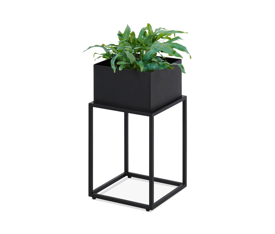 Bitki ile birlikte kutu saksı.