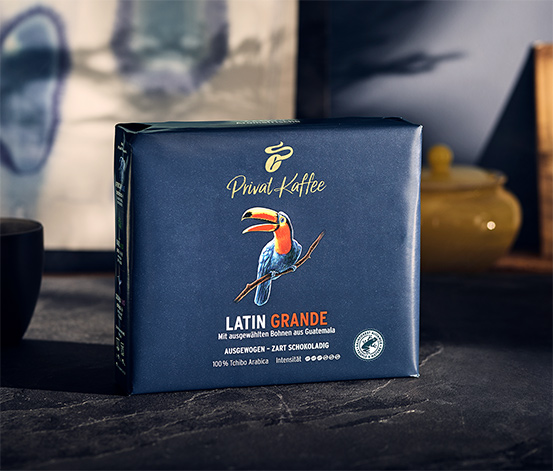 Privat Kaffee Latin Grande Öğütülmüş Filtre Kahve 2x250g 600